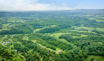 1570 Carl Doty Rd, Afton, TN 37616