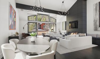 121 W Hyman Ave B, Aspen, CO 81611