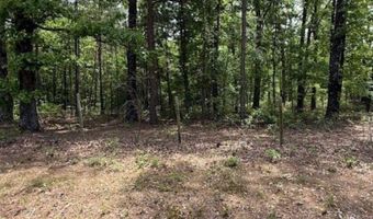Maddox Court, Arkadelphia, AR 71923