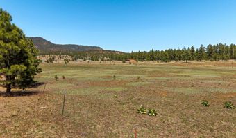 16 County Road 2089, Alpine, AZ 85920