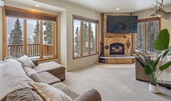 234 PETERSON Dr, Alma, CO 80440