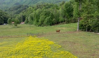 21804 US Hwy 19, Andrews, NC 28901