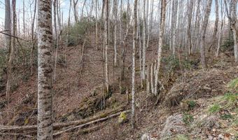 NC 209 Highway, Aurora, NC 28743