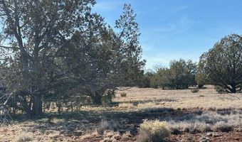 00- C N Dunbar Blvd, Ash Fork, AZ 86320