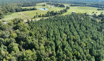 Highway 58, Baskerville, VA 23915