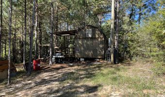 259 Forest Lake Rd, Beaumont, MS 39423