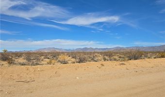 320 Acres W Brittlebush Dr, Yucca, AZ 86438