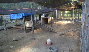 678 Farrow Rd, Bells, TN 38006