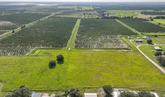 NE EDWARDS DRIVE, Arcadia, FL 34266