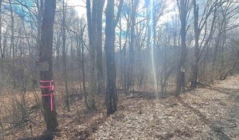 Glade Run Road, Albright, WV 26519