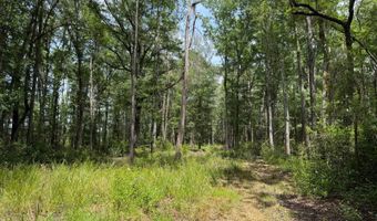 Fox Paw Court, Branchville, SC 29432