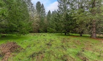 Upper Cow Creek Road, Azalea, OR 97410