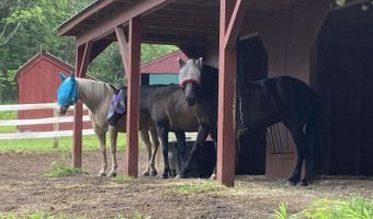 65 Widow Moses Rd, Berlin, VT 05602