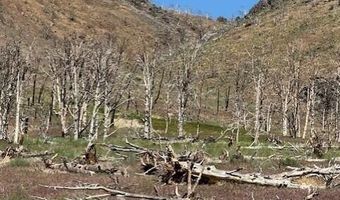 Hwy 395 unit 1 1, Gardnerville, NV 89410