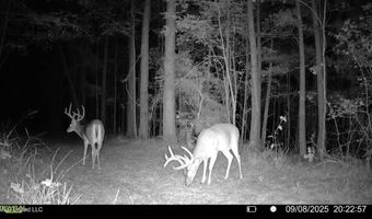 3 Champion Hill Rd, Bolton, MS 39041