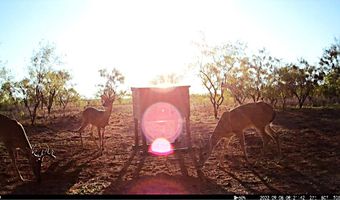 TBD East Tract County Road 356, Anson, TX 79501