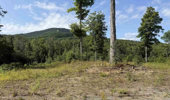 1559 Pinkham Road Lot # 3 & 4, Burke, VT 05832