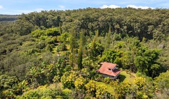 29-2828 KAIWIKI HOMESTEAD Rd, Hakalau, HI 96710