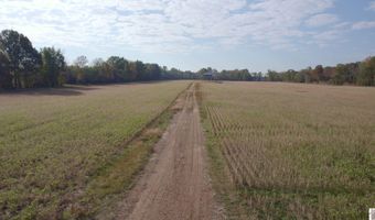 Holloway Landing Road, Barlow, KY 42024