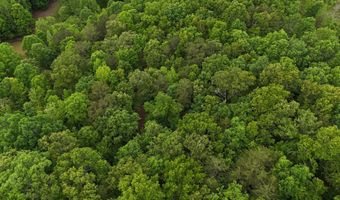 6020 Eaglewood Ln, Birchwood, TN 37308