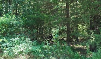Lot 6 Scalloway DR, Bella Vista, AR 72715