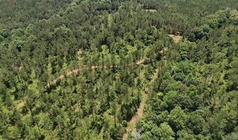 154 County Road 38 Acres, Banks, AL 36005