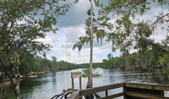 232 344 County Road 344, Bell, FL 32619