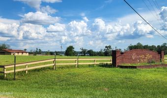 Grand Quiviera Circle lot 11, Alford, FL 32420