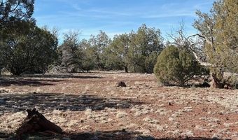 00- D N Dunbar Blvd, Ash Fork, AZ 86320