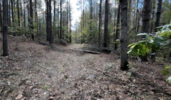 Jim Allred Road, Bankston, AL 35542