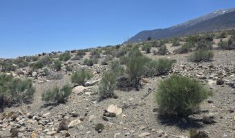 110 Shores Dr, Carson City, NV 89415