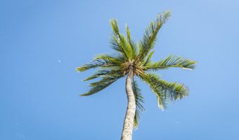 938 S Kihei Rd 301, Kihei, HI 96753