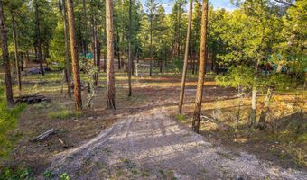 7 Eric Ln, Alpine, AZ 85920