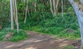 3310 WAWAE Rd, Kalaheo, HI 96741