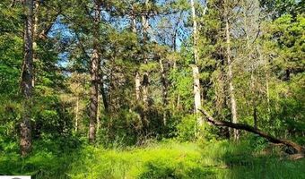 Quigley Road 40 Acres Quigley Road, Alger, MI 48610