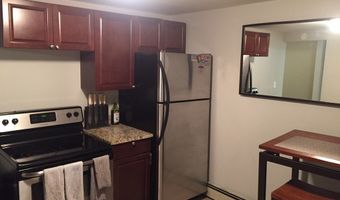 10 Springer St 3, Boston, MA 02127