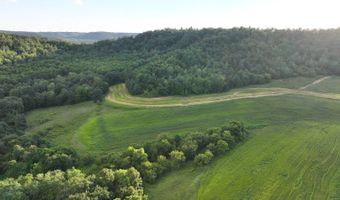 TBD Bear Pen Rd, Arkansaw, WI 54721