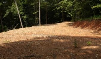 8 63ac Gravely Hill Rd, Bethpage, TN 37022