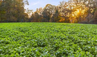 415 Rose Hill Rd, Bentonia, MS 39040