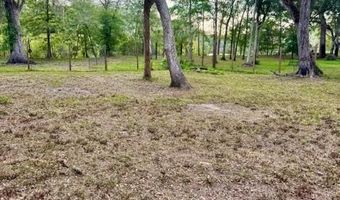 1109 NW 78th Ave, Bell, FL 32619