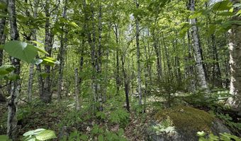 R6L9 Dickey Mills Road, Avon, ME 04966