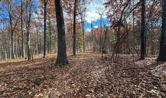 LOT # 28 CACAPON MOUNTAIN RETREAT, Augusta, WV 26704