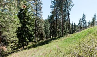 37 Red Tail Rdg, Bigfork, MT 59911
