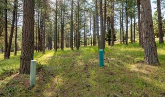 Lot 1127 Spyglass Hill Rd, Angel Fire, NM 87710