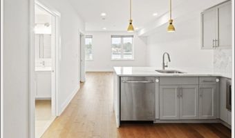 50 Hichborn St 204, Boston, MA 02135