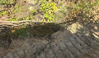 S80 Helt Rd, Antlers, OK 74525