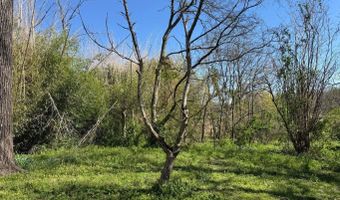 95 Terrafirma Ln, Ash Flat, AR 72513