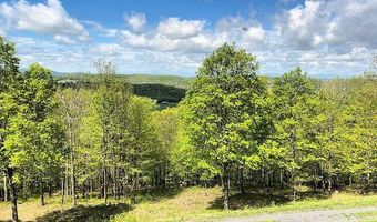 115 Witts Ln, Ancramdale, NY 12503