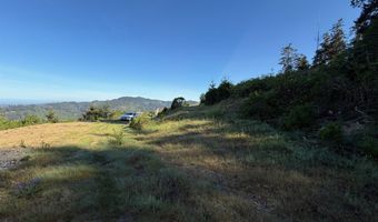 Jodel CT 3, Brookings, OR 97415