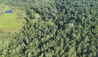 Swamp Road, Beech Island, SC 29842